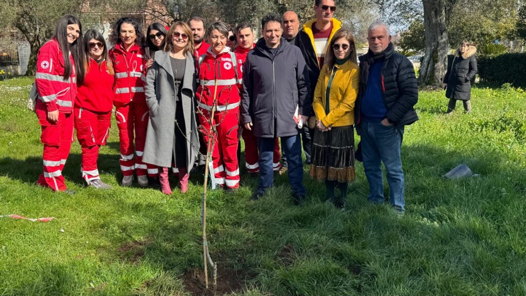 Assessorato allAmbiente attivita Miceli 1
