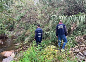 Contrasto ai reati ambientali: il Gruppo interforze effettua 5 sequestri nel lametino 5 Contrasto ai reati ambientali: il Gruppo interforze effettua 5 sequestri nel lametino