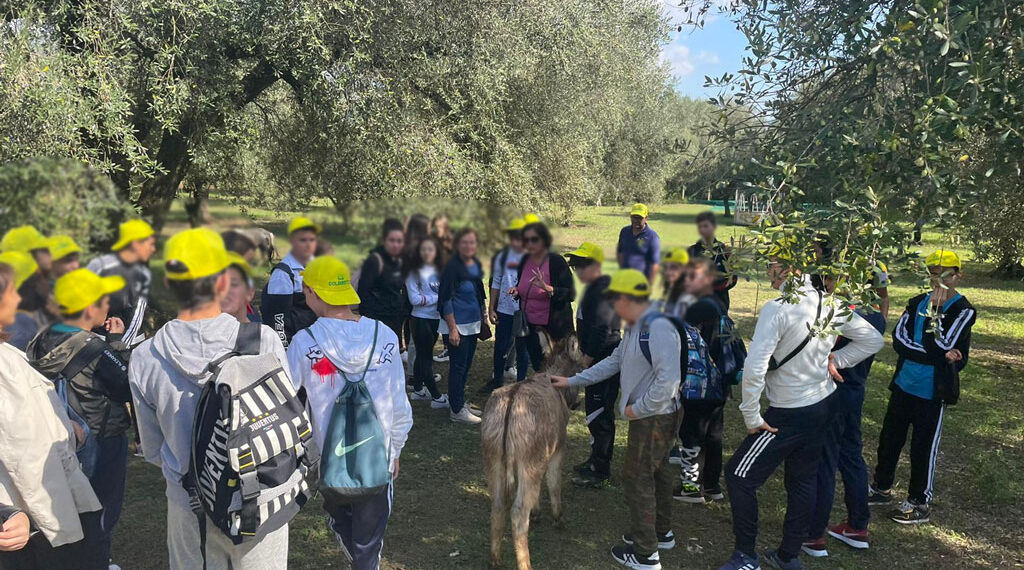 Bene l’idea di introdurre un’ora a settimana nelle scuole di “educazione agroalimentare”