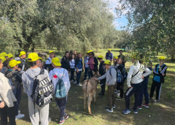 Bene l’idea di introdurre un’ora a settimana nelle scuole di “educazione agroalimentare”