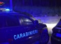 Finta consegna di un pacco postale, arrestato un pericoloso latitante (VIDEO) 2 Finta consegna di un pacco postale, arrestato un pericoloso latitante (VIDEO)