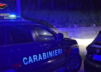Finta consegna di un pacco postale, arrestato un pericoloso latitante (VIDEO) 4 Finta consegna di un pacco postale, arrestato un pericoloso latitante (VIDEO)