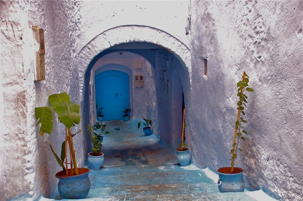 Chefchaoue, immergersi nel blu profondo della medina 5 IMG 20260124 WA0033