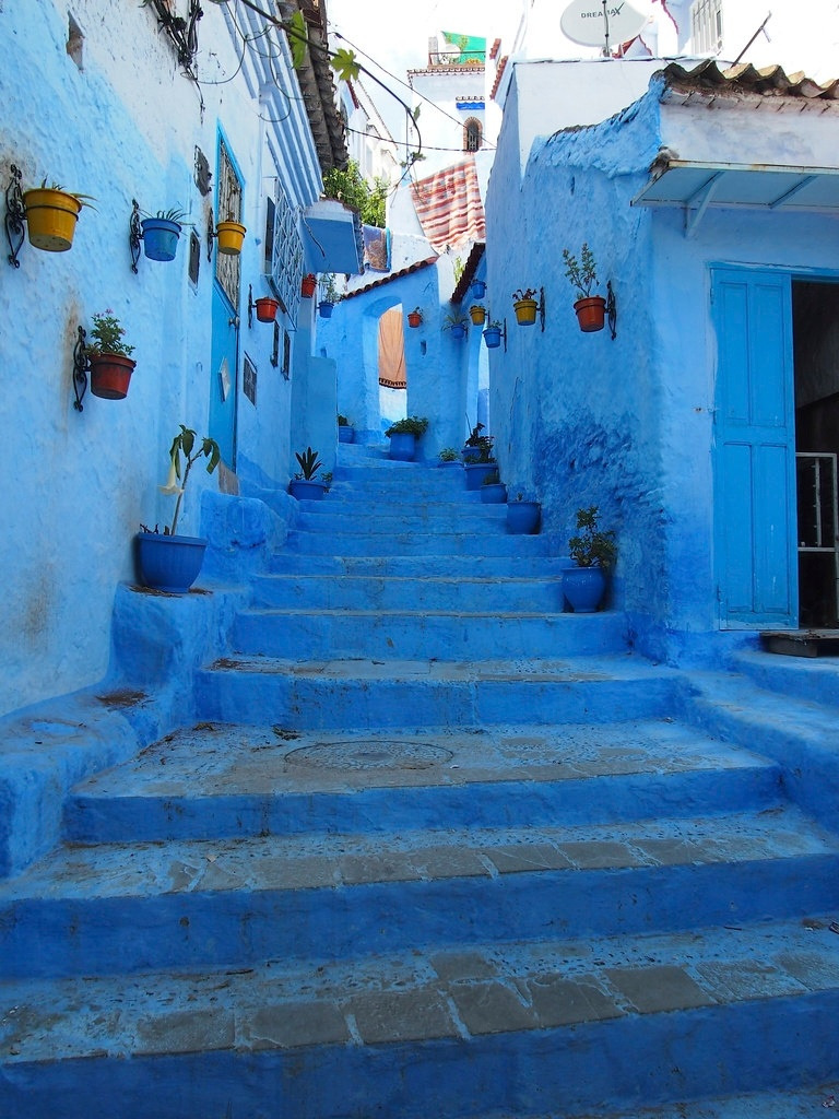 Chefchaoue, immergersi nel blu profondo della medina 4 IMG 20260124 WA0034