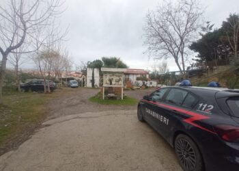 Focus su sicurezza alimentare, tutela del lavoro e prevenzione del gioco d’azzardo