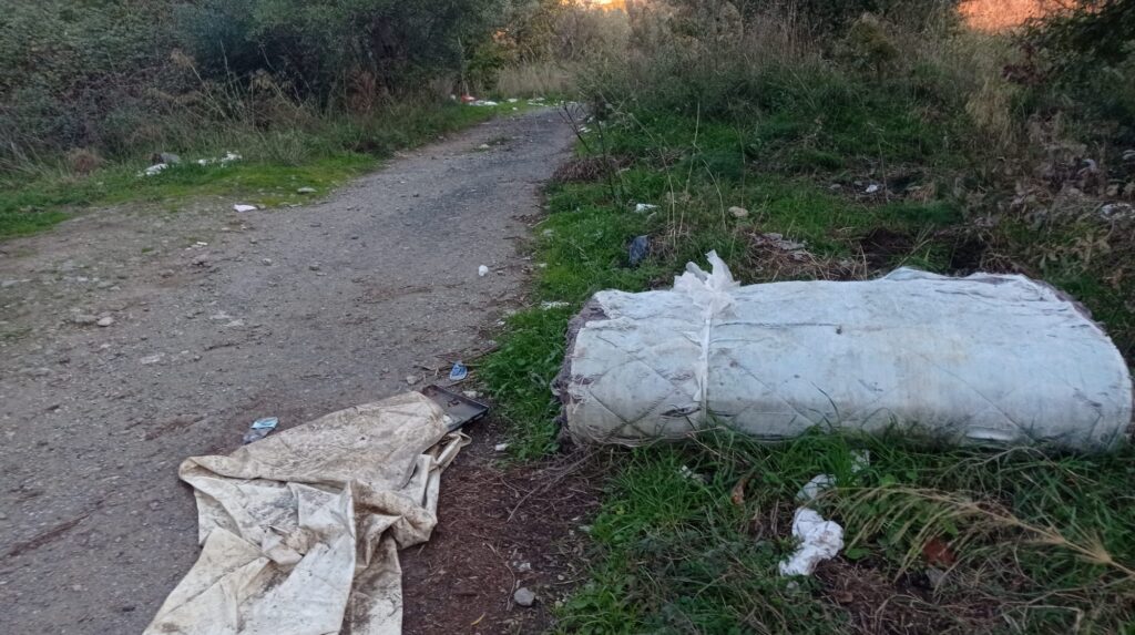 WhatsApp Image 2026 01 03 at 11.56.11