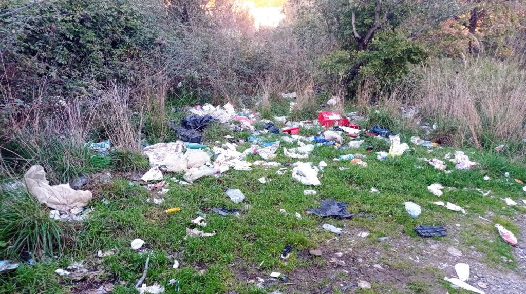 WhatsApp Image 2026 01 03 at 11.56.12