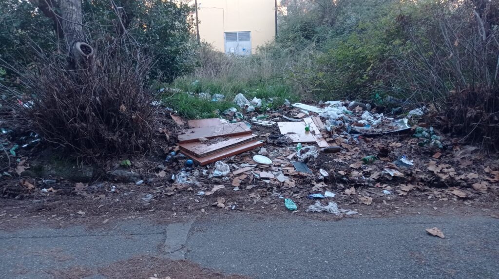 WhatsApp Image 2026 01 03 at 11.56.13