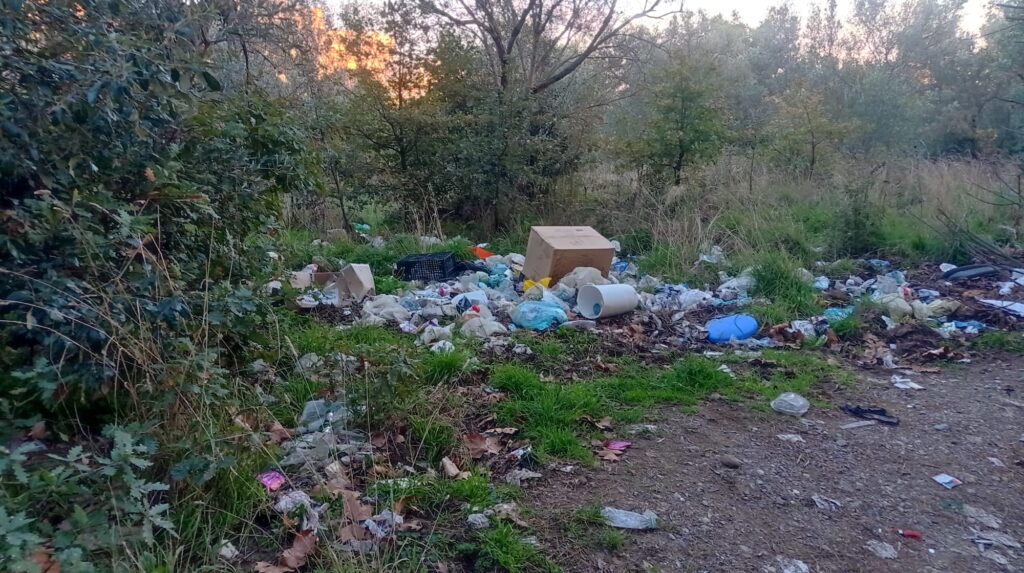 WhatsApp Image 2026 01 03 at 11.56.14