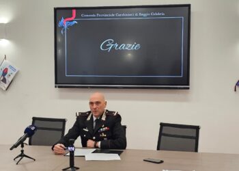 I Carabinieri del Comando Provinciale di Reggio Calabria tracciano il bilancio di un anno di attività (VIDEO)