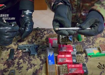 Scoperte dai Carabinieri di Riace tre armi clandestine a casa di un insospettabile (VIDEO) 4 Scoperte dai Carabinieri di Riace tre armi clandestine a casa di un insospettabile (VIDEO)