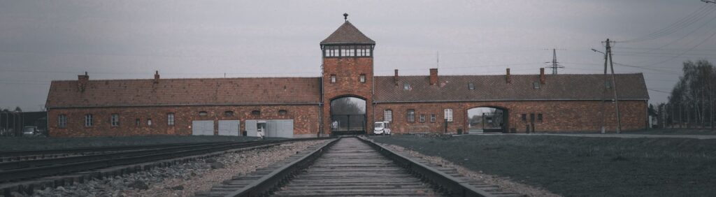 WhatsApp Image 2026 01 26 at 10.47.20 1