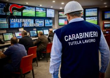Contrasto al gioco d'azzardo: operazione dei carabinieri nelle Serre vibonesi 4 Contrasto al gioco d’azzardo: operazione dei carabinieri nelle Serre vibonesi