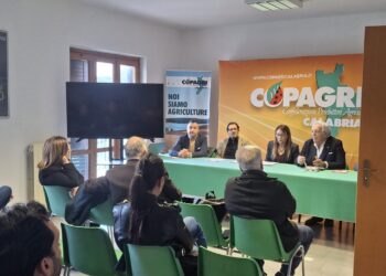 Copagri Calabria chiede modifiche alle leggi su zootecnia e consorzi di bonifica e provvedimenti sui crediti di carbonio
