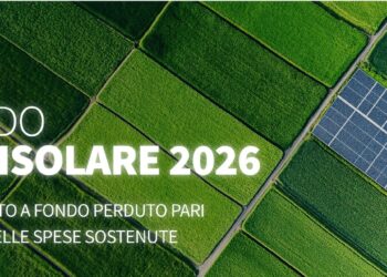 La Calabria può trasformare il sole in competitività e crescita