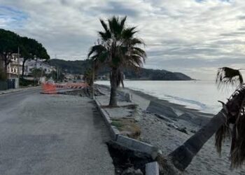 Oggi in Calabria arriva il vicepremier Salvini 4 Oggi in Calabria arriva il vicepremier Salvini