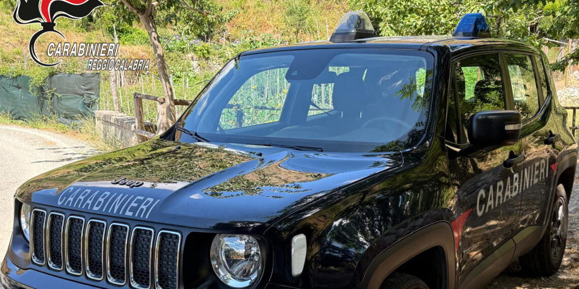 Gioia Tauro, l’auto coperta di fango insospettisce i carabinieri: denunciato per porto di oggetti atti ad offendere 1 Gioia Tauro, l’auto coperta di fango insospettisce i carabinieri: denunciato per porto di oggetti atti ad offendere