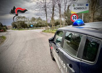 I Carabinieri denunciano un uomo per detenzione illegale di cartucce 2 I Carabinieri denunciano un uomo per detenzione illegale di cartucce