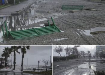 Ciclone Harry, il sottosegretario Wanda Ferro ha visitato le zone colpite in Calabria con il ministro Musumeci 8 Ciclone Harry, il sottosegretario Wanda Ferro ha visitato le zone colpite in Calabria con il ministro Musumeci