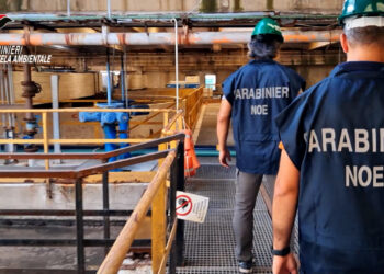 I Carabinieri del Noe sequestrano beni per 10 milioni a Reggio Calabria (VIDEO)