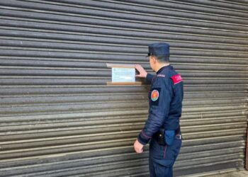 Scoperti nel lametino due frantoi che sversavano reflui direttamente nel terreno