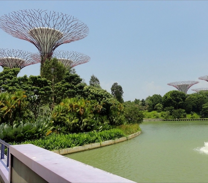 singapore 5