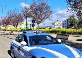 Vibo Valentia, rubano in un supermercato. Denunciati 2 persone ed emessi dal Questore 2 fogli di via 4 Vibo Valentia, rubano in un supermercato. Denunciati 2 persone ed emessi dal Questore 2 fogli di via