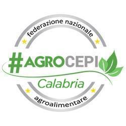 Alluvione in Calabria, Agrocepi lancia l’allarme. Aziende agricole in ginocchio, servono interventi immediati