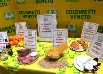 Codice doganale: su proposta di Coldiretti Calabria il Consiglio Regionale chiede la revisione