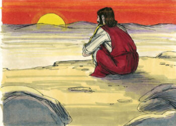 Don Fiorillo: chi vorrà diventare grande si faccia servo, chi vuole essere il primo si faccia schiavo 6 Don Fiorillo: chi vorrà diventare grande si faccia servo, chi vuole essere il primo si faccia schiavo