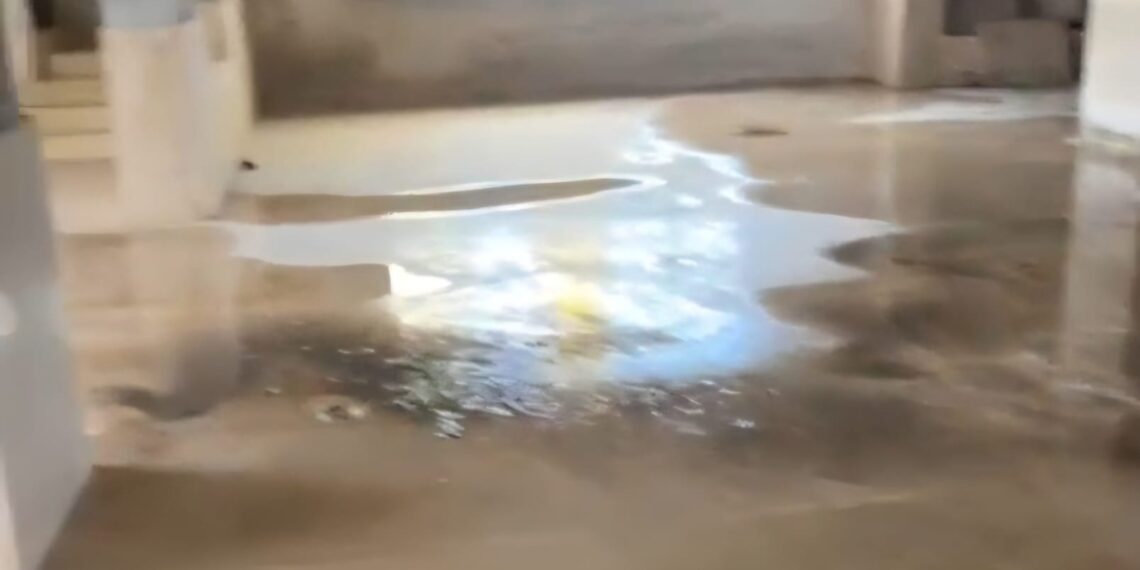 Il Cimitero di Vibo Valentia nel degrado: la memoria della città chiede rispetto, non può essere trascurata