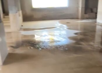 Il Cimitero di Vibo Valentia nel degrado: la memoria della città chiede rispetto, non può essere trascurata 4 Il Cimitero di Vibo Valentia nel degrado: la memoria della città chiede rispetto, non può essere trascurata