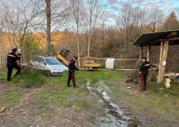 I Carabinieri scoprono una discarica abusiva a Motta Santa Lucia