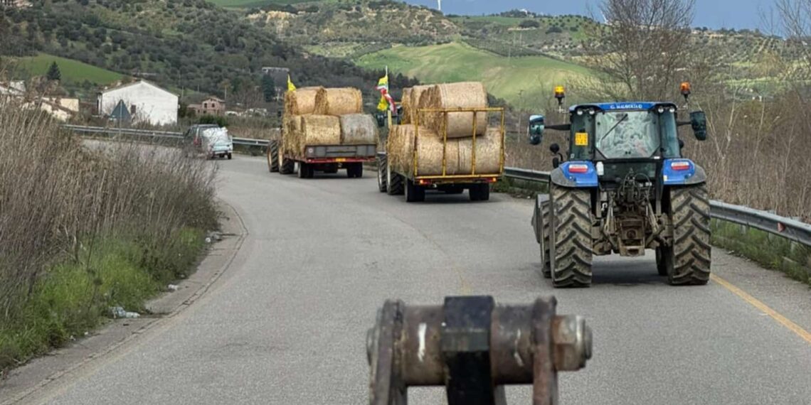 Maltempo, il cuore solidale di Coldiretti: consegnati i primi carichi di fieno e foraggi alle aziende colpite dall’alluvione 1 Maltempo, il cuore solidale di Coldiretti: consegnati i primi carichi di fieno e foraggi alle aziende colpite dall’alluvione