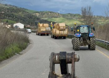 Maltempo, il cuore solidale di Coldiretti: consegnati i primi carichi di fieno e foraggi alle aziende colpite dall’alluvione