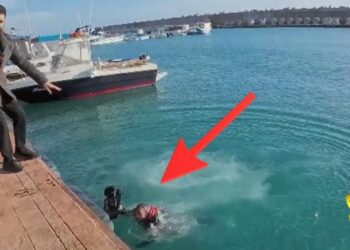 Striscia a Cirò Marina, non è la pesca del novellame il problema, ma l’Ue che ha perso di vista il Mediterraneo