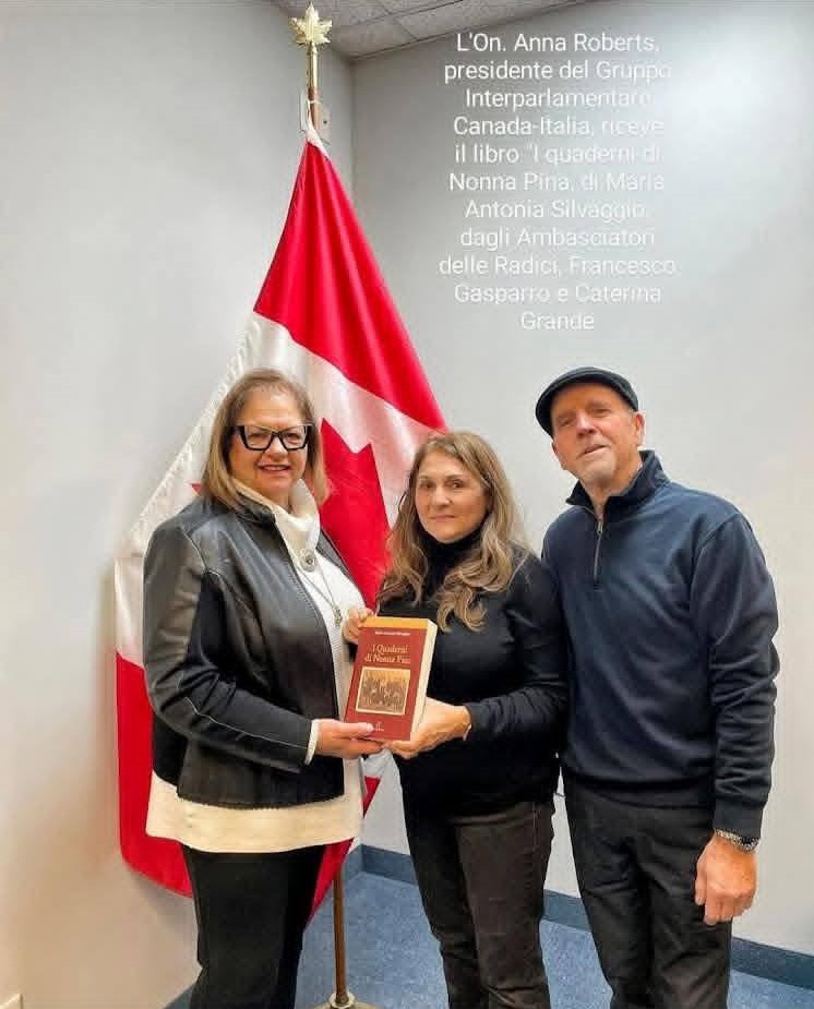 WhatsApp Image 2026 02 03 at 11.18.50