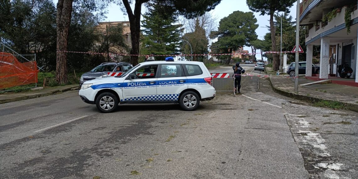 Vibo Valentia, chiuso al transito viale della Pace per albero pericolante. Super lavoro per i Vigili del Fuoco in provincia