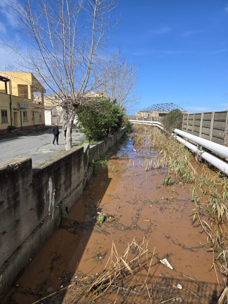 WhatsApp Image 2026 02 17 at 12.28.16 1