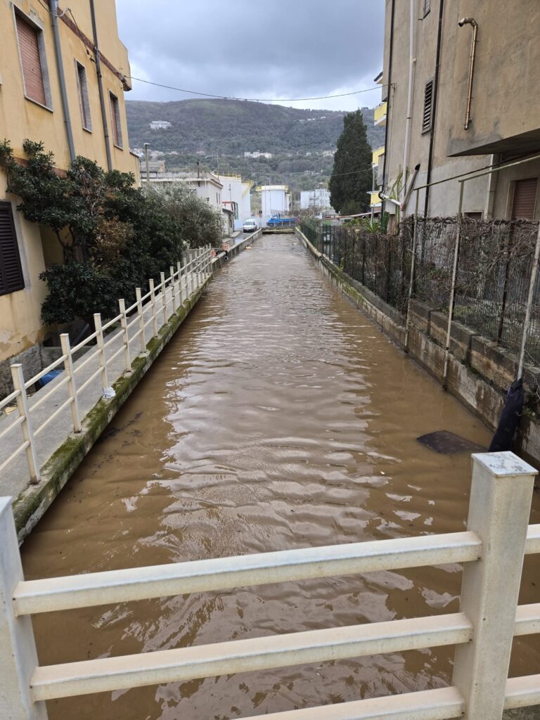 WhatsApp Image 2026 02 17 at 13.04.09