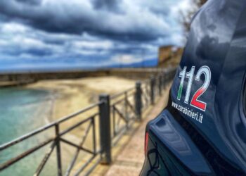 Pizzo, ignora i divieti e si presenta sul posto di lavoro della ex: arrestato dai Carabinieri 7 Pizzo, ignora i divieti e si presenta sul posto di lavoro della ex: arrestato dai Carabinieri