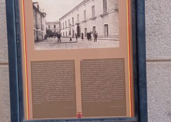 Degrado crescente all’ingresso del Comune di Catanzaro (Palazzo De Nobili!): pessimo biglietto da visita