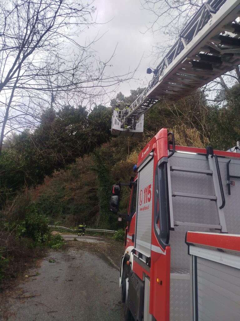 Maltempo e vento forte anche nel Vibonese: alberi caduti e disagi sulla viabilità 2 alberi san nicola