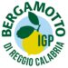 Inizia l’iter europeo per il riconoscimento dell’IGP del Bergamotto di Reggio Calabria