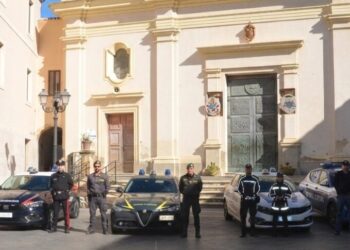 Operazione interforze a Mesoraca e Petilia Policastro 4 Operazione interforze a Mesoraca e Petilia Policastro