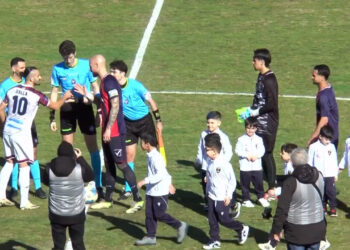 Vibonese senza guida e senza futuro: così si distrugge una storia, ma il disastro non è solo in campo (VIDEO) 10 Vibonese senza guida e senza futuro: così si distrugge una storia, ma il disastro non è solo in campo (VIDEO)