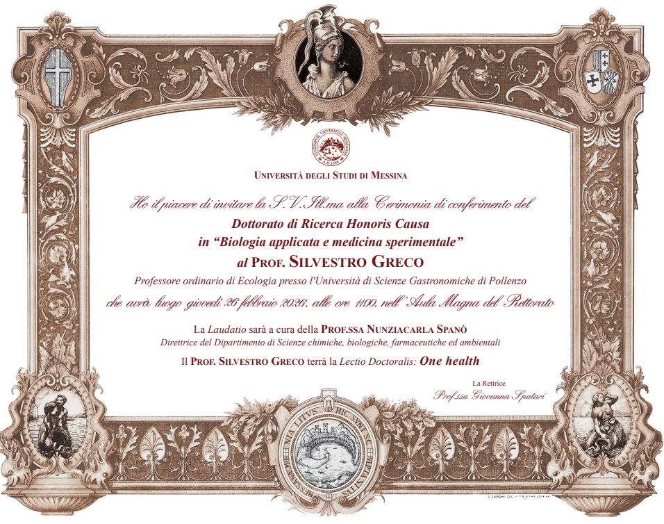 dottorato silvio greco