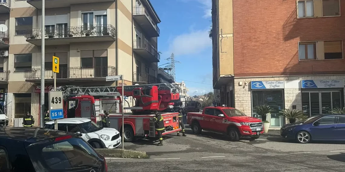 Maltempo e vento forte anche nel Vibonese: alberi caduti e disagi sulla viabilità 1 Maltempo e vento forte anche nel Vibonese: alberi caduti e disagi sulla viabilità