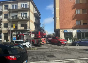 Maltempo e vento forte anche nel Vibonese: alberi caduti e disagi sulla viabilità
