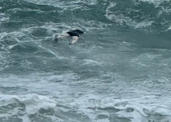 Tropea, cadavere avvistato in mare alle Roccette: recuperato dalla Guardia costiera tra le onde